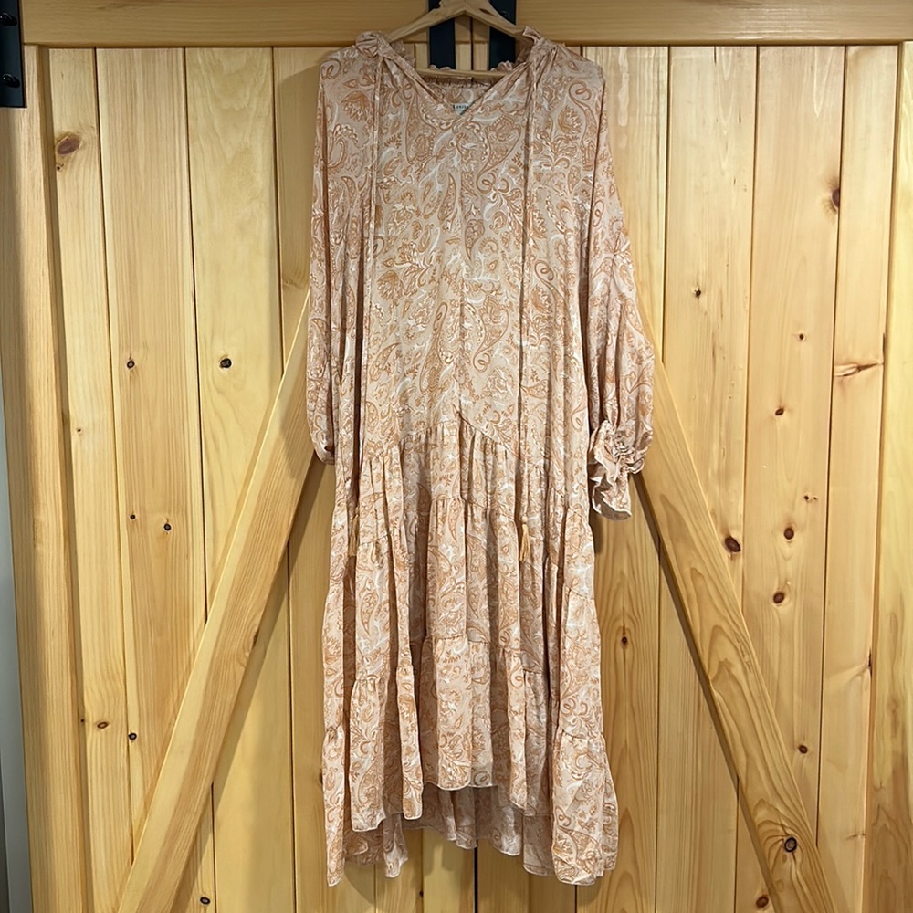 Dress Forum Los Angeles maxi dress blush paisley
